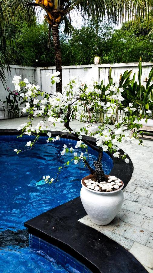 Вилла Gili Moonlight Retreat Гили-Эйр Экстерьер фото